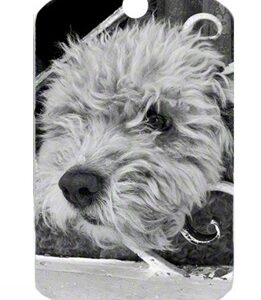ID Tag - Dog Tag Silver