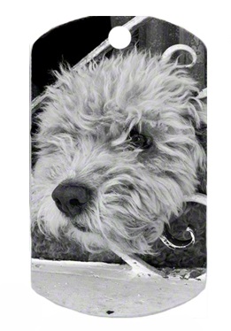 ID Tag - Dog Tag Silver