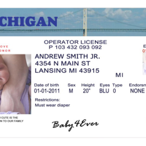 Novelty License - Michigan